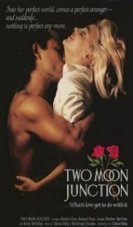Two Moon Junction (1988) Hindi Dubbed poster