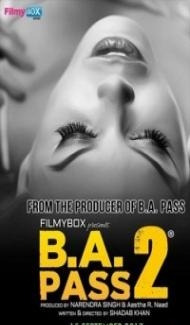 BA Pass 2 (2017) Hindi 480p HDRip 350mb poster
