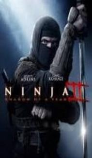 Ninja Shadow of a Tear (2013) Dual Audio Hindi Dubbed poster