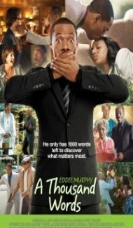 A Thousand Words (2012) Dual Audio Hindi Dubbed poster