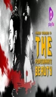 Changan Swordsmen 4 The Pomegranate Beauty (2018) Hindi Dubbed poster