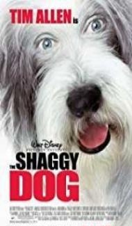 The Shaggy Dog (2006) Hindi Dubbed poster