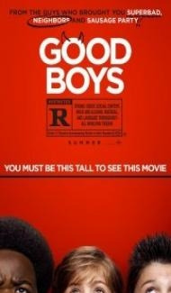 Good Boys (2019) Hindi Dubbed poster
