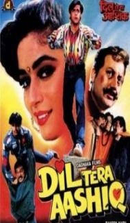 Dil Tera Aashiq (1993) Hindi Movie poster