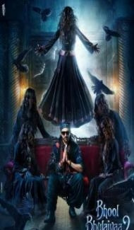 Bhool Bhulaiyaa 2 (2022) Hindi Movie poster