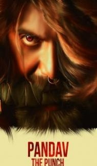 Pandav The Punch (2020) South Indian Hindi Dubbed Movie poster