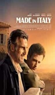 Made in Italy (2020) English Movie poster