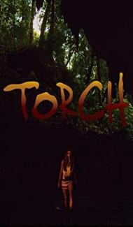 Torch (2021) Hindi Dubbed poster