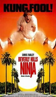Beverly Hills Ninja (1997) Hindi Dubbed poster