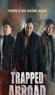 Trapped Abroad (2014) Hindi Dubbed poster