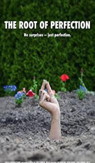 The Root of Perfection (2022) Hindi Dubbed poster