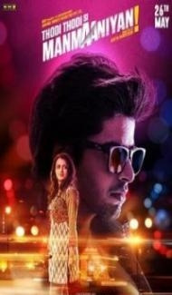 Thodi Thodi Si Manmaaniyan (2017) Hindi Movie poster